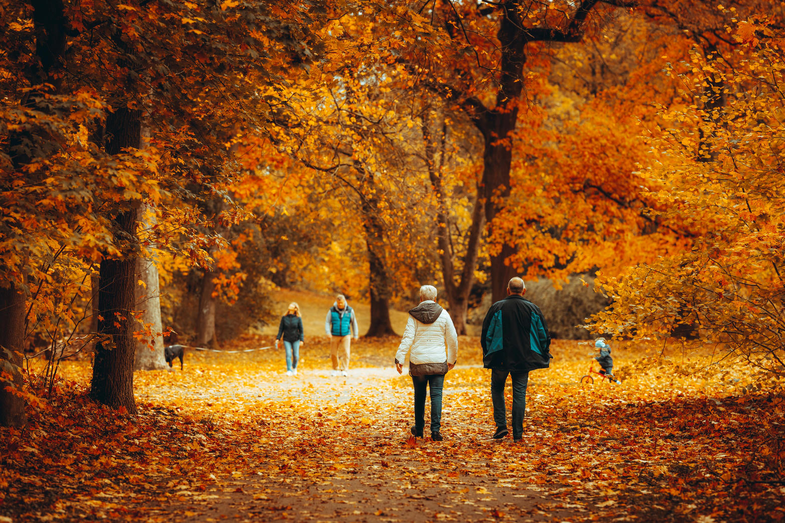 Park jesienią — miejsce na spacer